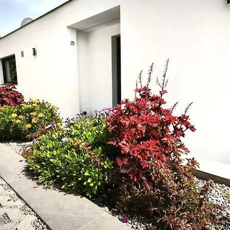 Casa Panorama Sol- New With Heated Saltwater Pool And Fantastic Sea View * Ponta do Sol (Madeira)