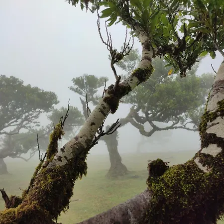 Casa Panorama Sol- New With Heated Saltwater Pool And Fantastic Sea View بيت للعطل *