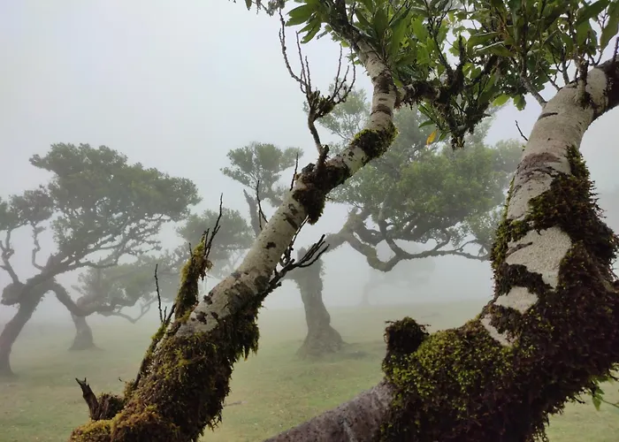 Casa Panorama Sol- New With Heated Saltwater Pool And Fantastic Sea View Casa vacanze *